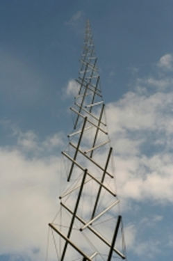 Needletower web